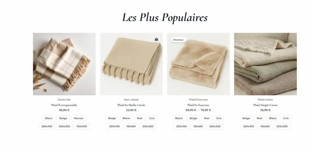 visuel plaidouiller2 (3)